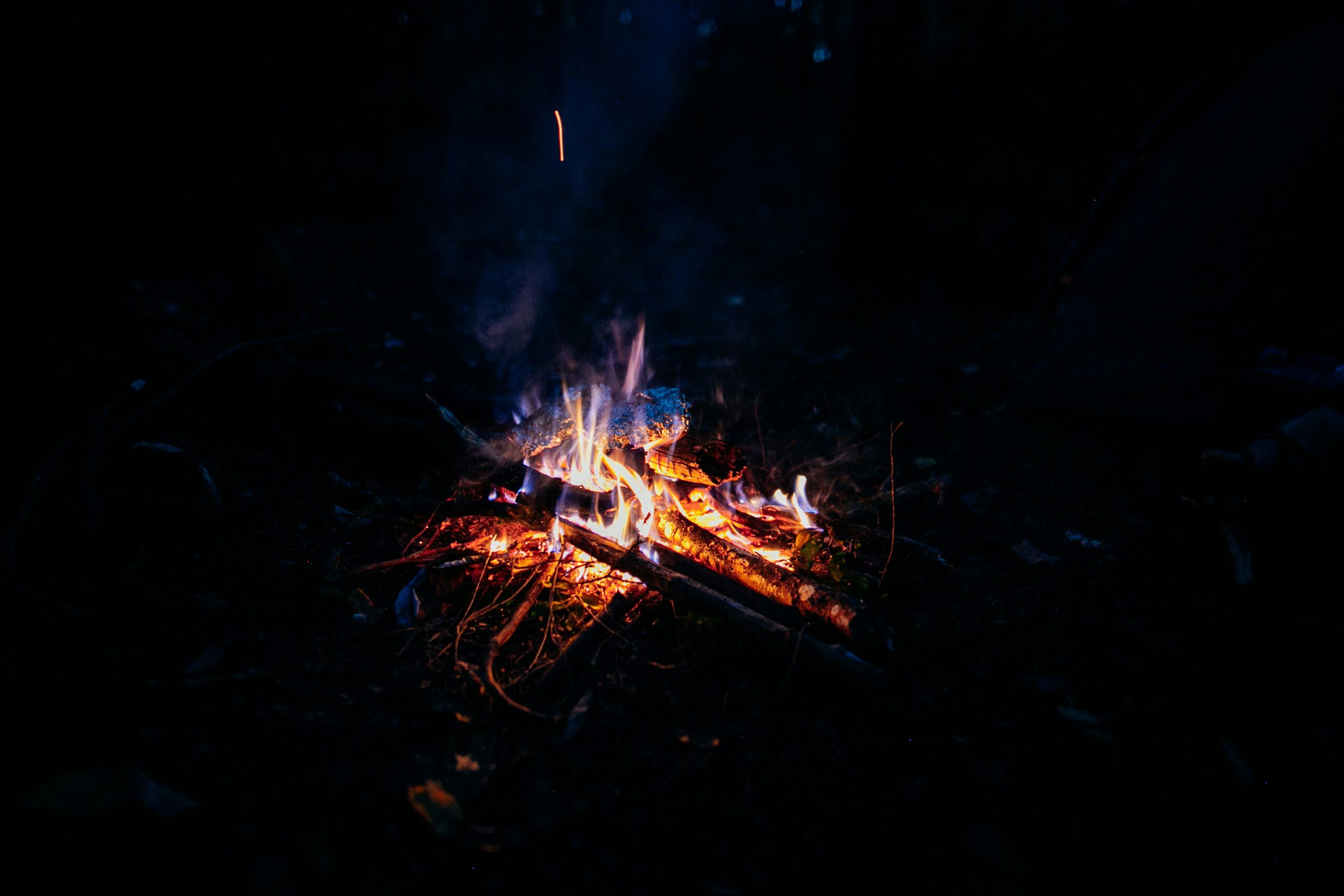 Wolf Fire Warning Issued – What You Need to Know Right Now